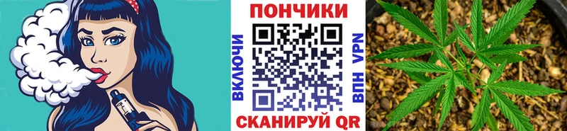 Где купить Бронницы MDMA  МЕФ  omg зеркало  APVP  ГАШИШ  Марихуана  КОКАИН 
