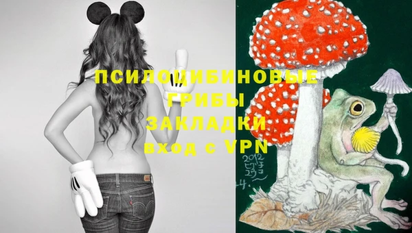 МДПВ Алзамай