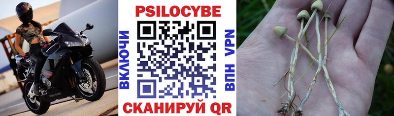 Галлюциногенные грибы GOLDEN TEACHER  даркнет какой сайт  Бронницы  хочу наркоту  kraken сайт 